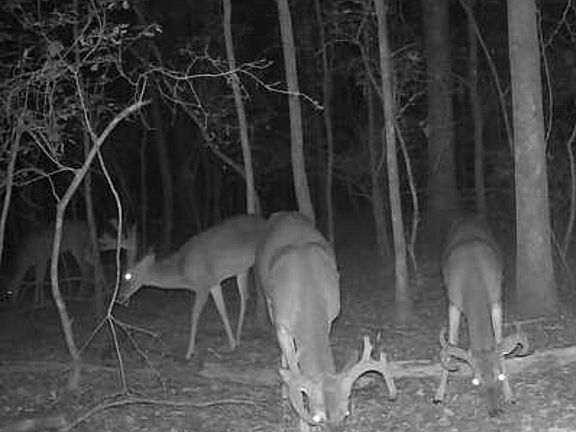 5th image of 0 Macedonia Rd