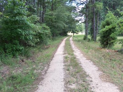 0 239 Hwy, Clayton, AL, 36016