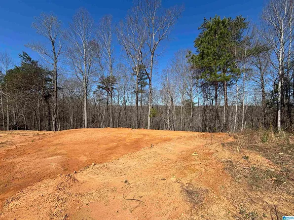 409 Lake Dr, Odenville, AL 35120