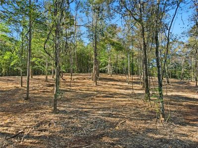 13630 Birmingham Hwy, Milton, GA, 30004