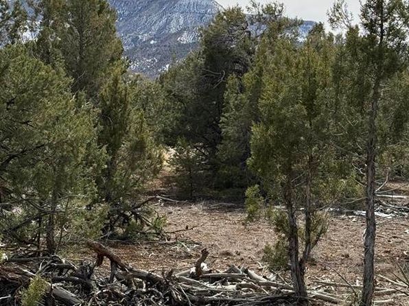 TBD J8 Road, Mancos, CO 81328