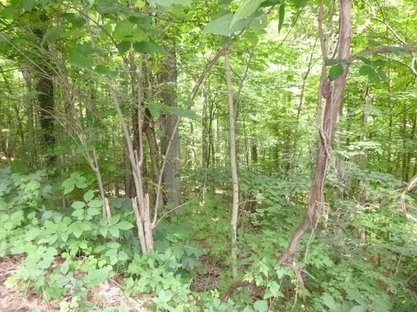 LOT 6 Briarwood Rd, Kingsport, TN 37664