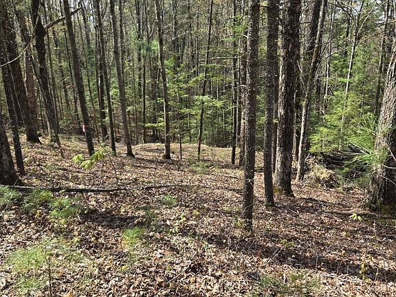 2nd image of 999 Victory Falls Rd Lot 11