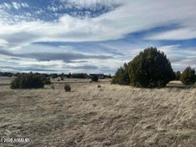 1061 Lorenzo Sitgreaves Dr #79, Show Low, AZ, 85901