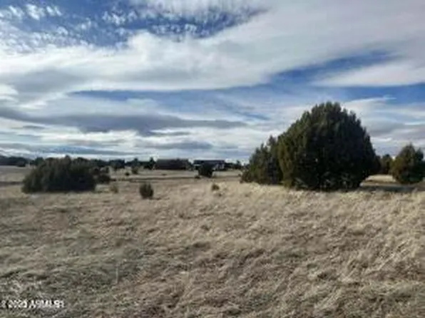 1061 S LORENZO SITGREAVES Drive #79, Show Low, AZ 85901