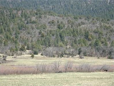 3rd image of 1447 State Highway 434