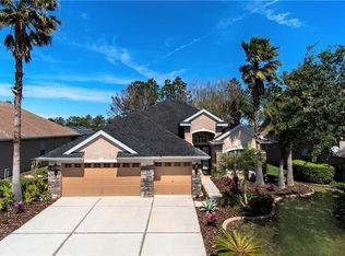 23503 Vistamar Ct, Land O Lakes, FL 34639
