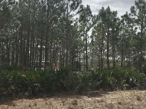 4th image of 6827 Driftwood Dr