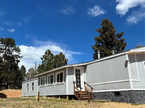 169 Daisy St, Woodland Park, CO 80863