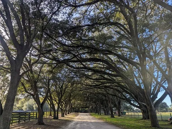 19350 SE 52nd Pl, Morriston, FL 32668