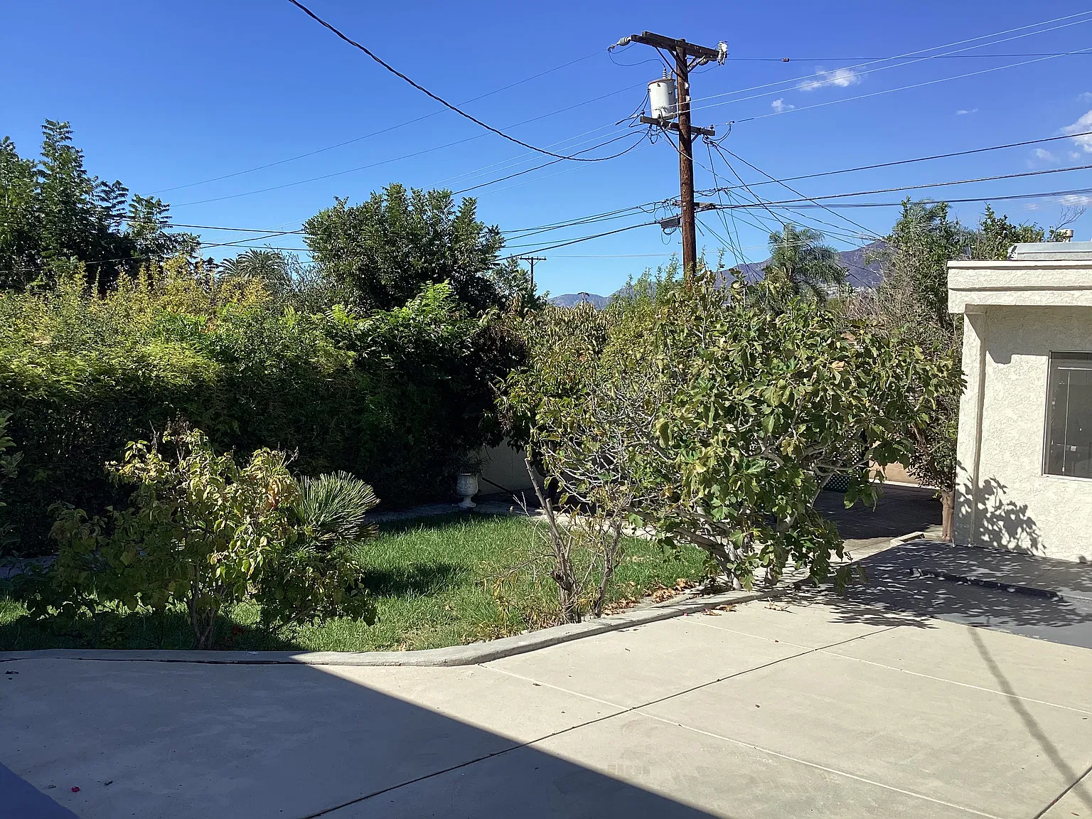 1 bed, 400 sqft, $2,300 — Photo 3