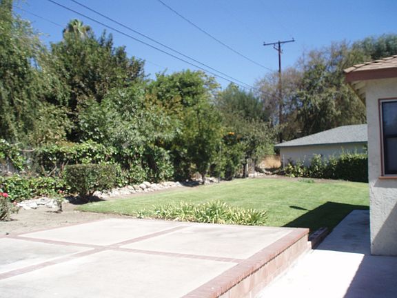 Rear yard / patio