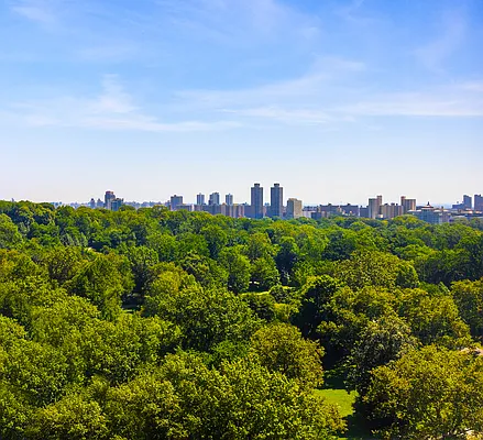 Rented by SR8 REALTY LLC | media 30