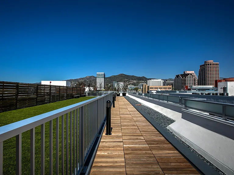 Rooftop Dog Park