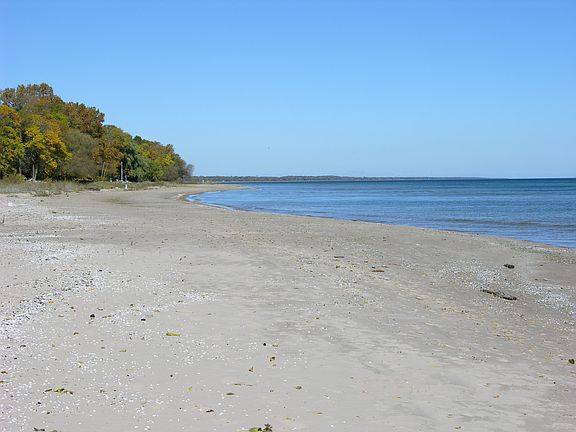 BEACH NORTH