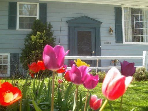 Beautiful: any time of the year!