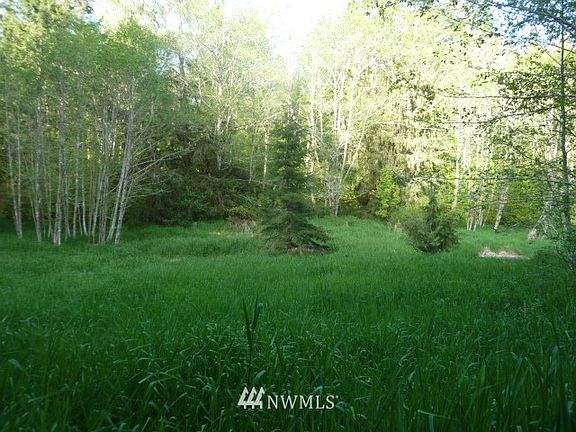 3rd image of 49907 Midway Creek Road E