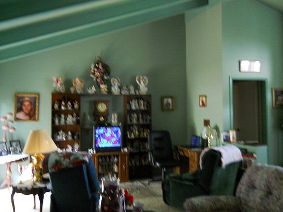 4th image of 217 Gillen Dr