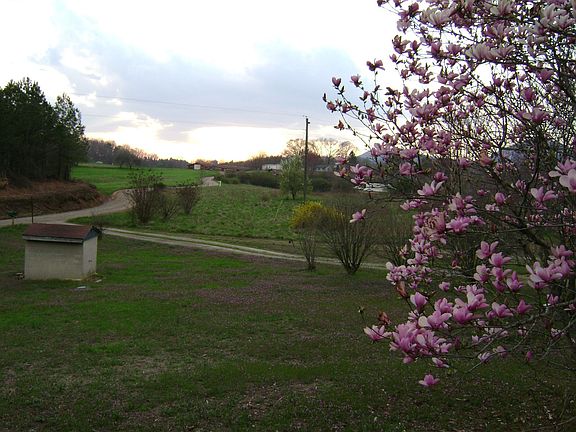 well & road from fenced yard