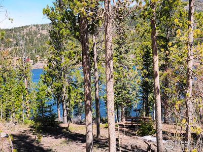 86 Timicua Ct, Red Feather Lakes, CO, 80545