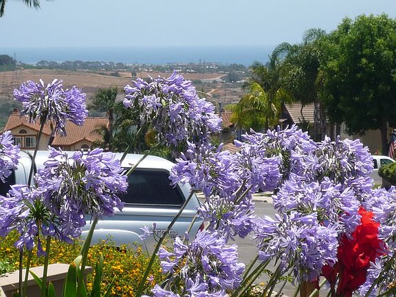 View from front yard