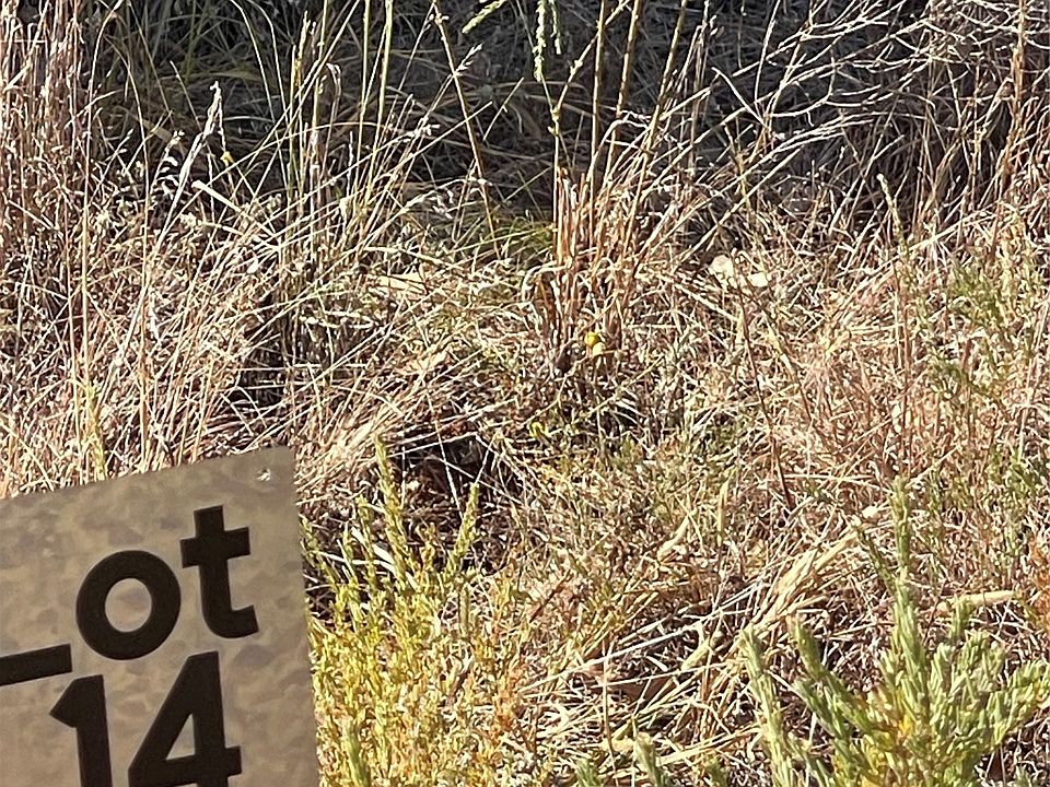 1st image of 8015 W Jorde