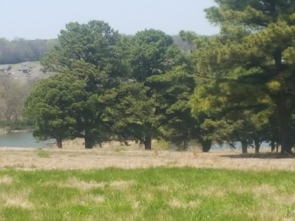 View from the back of the duplex