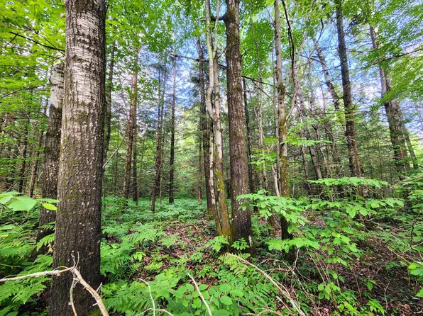 N6060 Swamp Rd, Brantwood, WI 54513