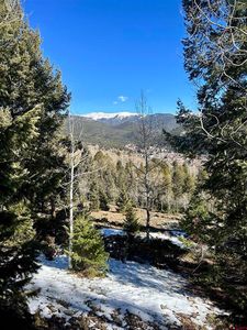 395 Soulsease Road, Pitkin, CO, 81241