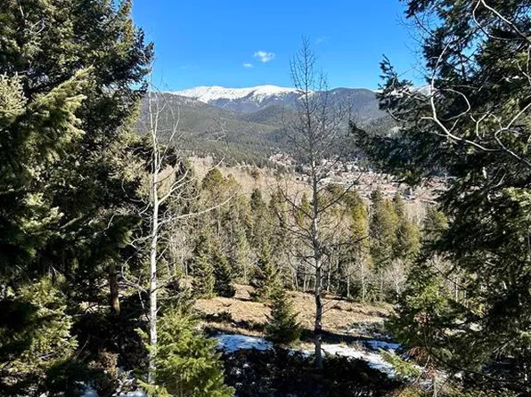 395 Soulsease Road, Pitkin, CO 81241