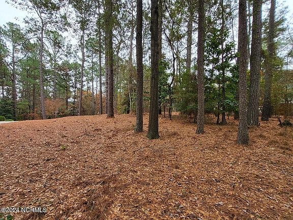 3rd image of 13 Sassafras Lane