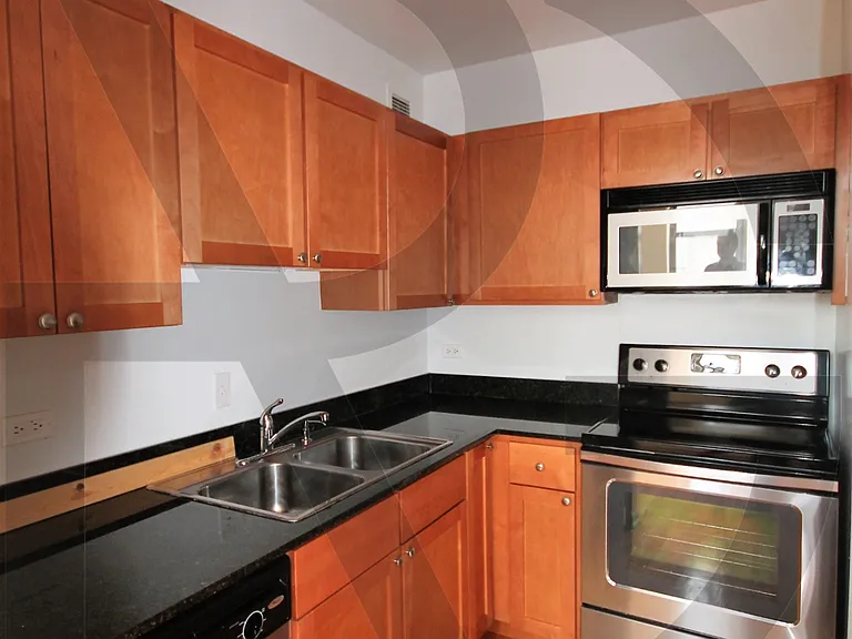 4608 N Sheridan Rd #4607-412 — Photo 9