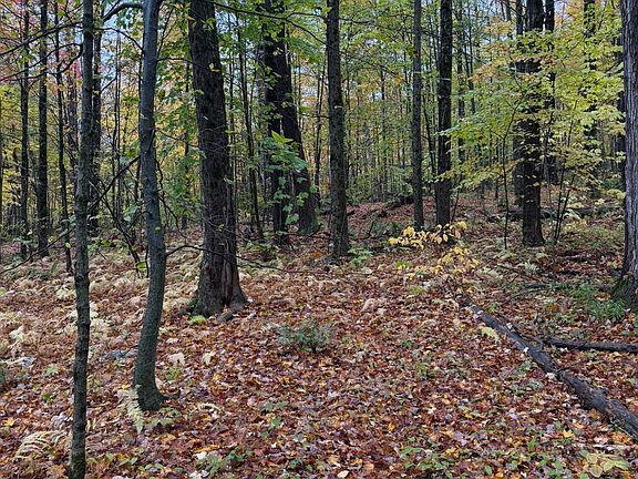 4th image of 309 E Slope Rd