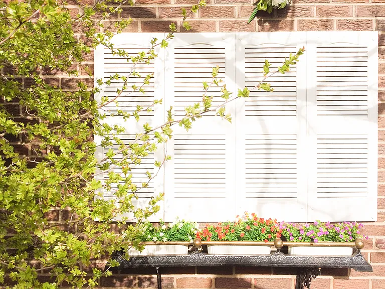 Backyard: Plants and Trees Make a Picturesque Yard