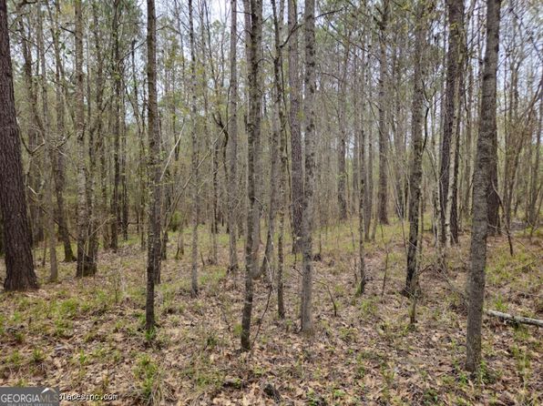 TRACT 3 Us Highway 341 N, Musella, GA 31066