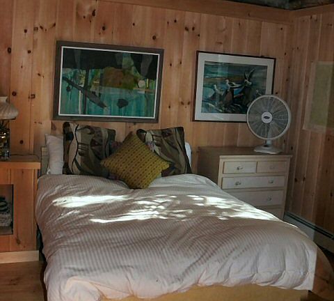 Downstairs bedroom