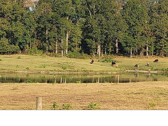 5th image of I55 Frontage Rd