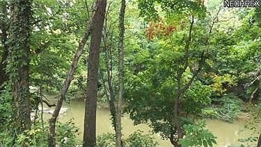 5th image of 25425 Tyndall Falls Dr