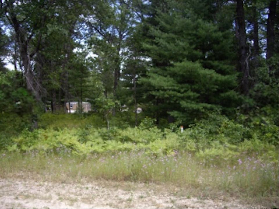 1st image of Pinecone Ct