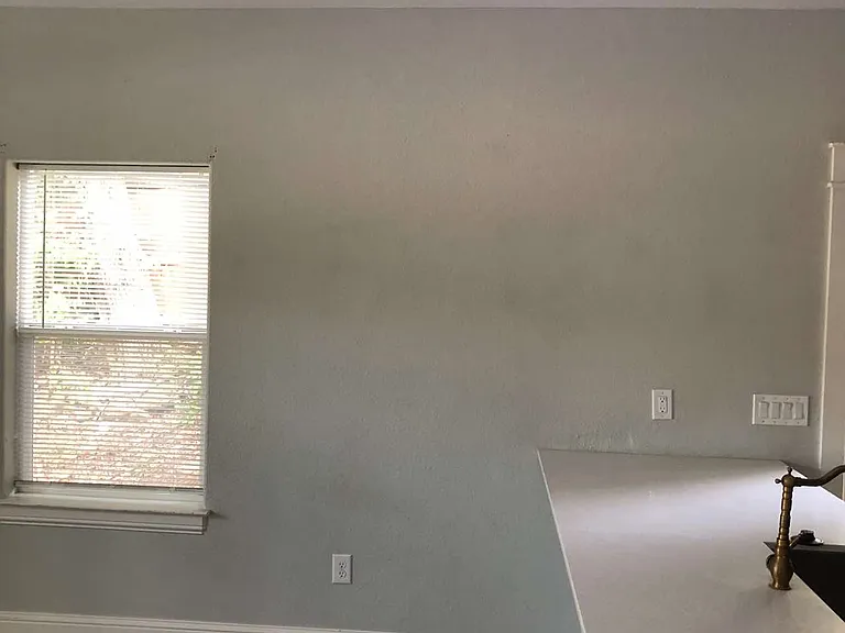 808 W Hull St — Photo 6