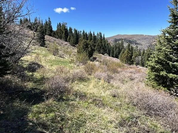 3934 S Summit Mountain Rd Lot 3, Summit, UT 84772