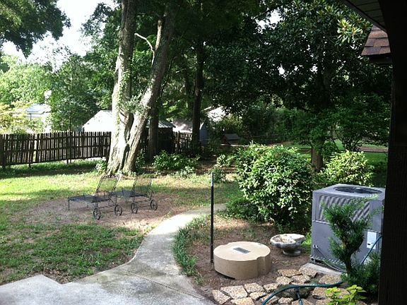 backyard 2