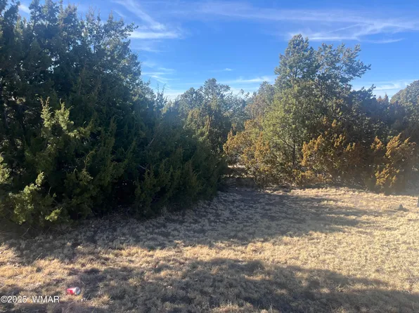 S Jimmy St, Eagar, AZ 85925