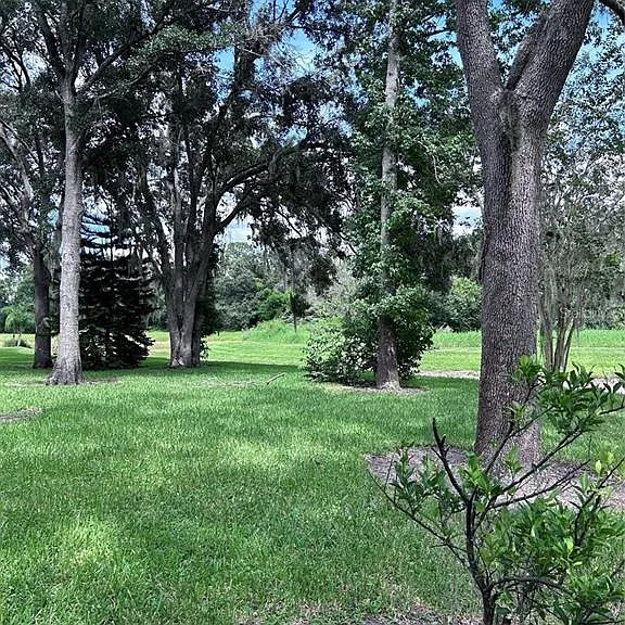 1531 McCrea Dr — Photo 20
