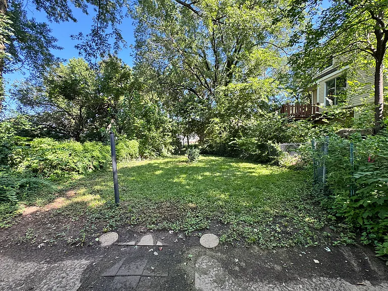 Backyard 1