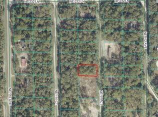 NE 111 COURT, FORT MC COY, FL 32134