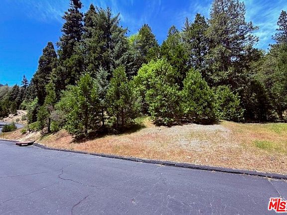 4th image of 246 Cedar Ridge Dr
