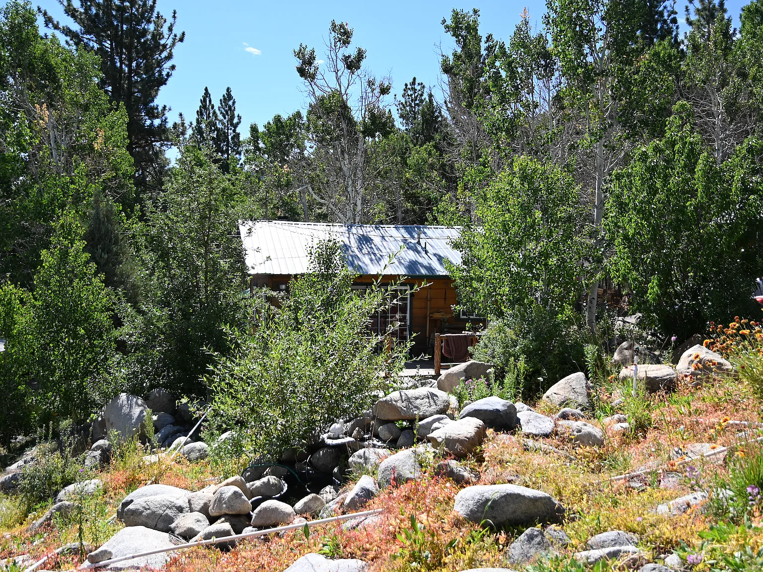 Juniper Dr — Photo 3