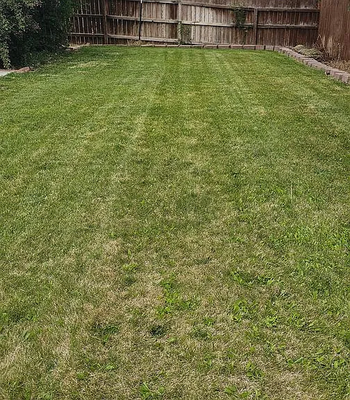 3153 E Merganser Ln — Photo 19