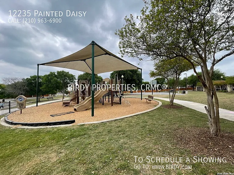 12235 Painted Daisy — Photo 52
